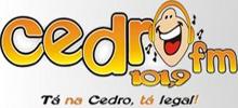 Cedro FM 101.9