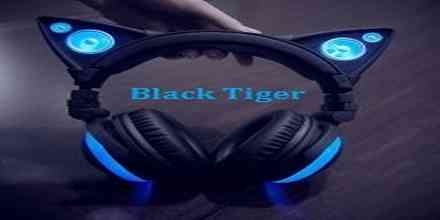 Black Tiger Recordings