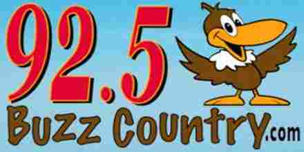 92.5 Buzz Country