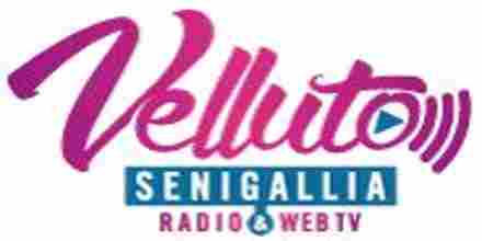 Radio Velluto