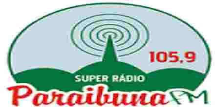 Paraibuna FM 105.9