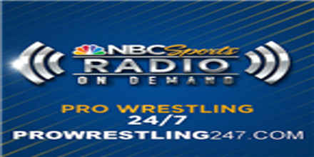 Pro Wrestling 247