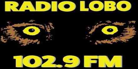 Radio Lobo