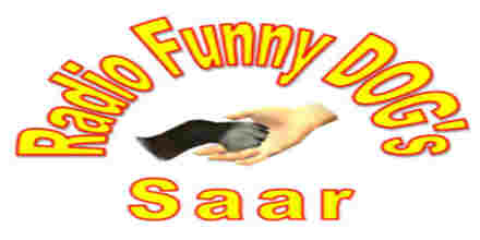 Funny Dogs Saar