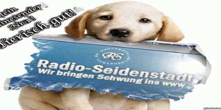 Radio Seidenstadt