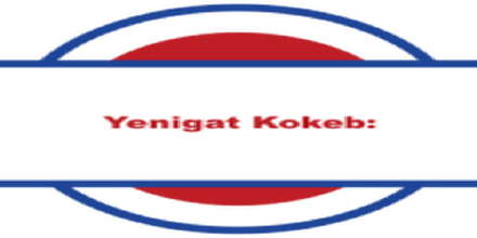 Yenigat Kokeb