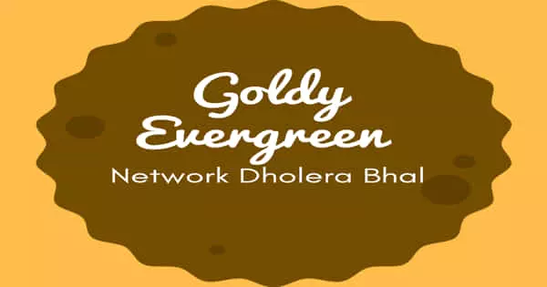 Goldy Evergreen