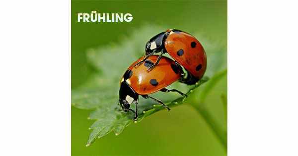 Radio-Clan.de – Frühling