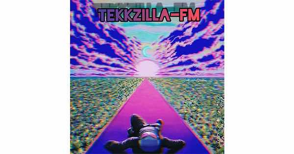 Tekkzilla FM