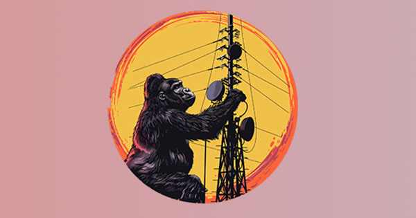 The Gorilla Radio