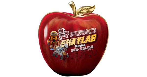 Radio SKAYLAB