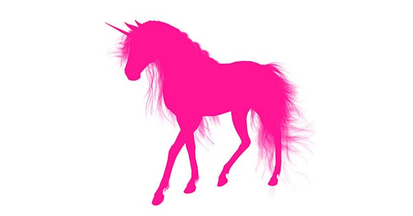 Pink Unicorn Radio